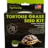 Komodo Grow Your Own Grass Seed Kit for Tortoise - 6.5 in
