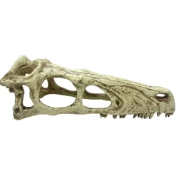Komodo Raptor Skull Reptile Hideout - Tan - Large
