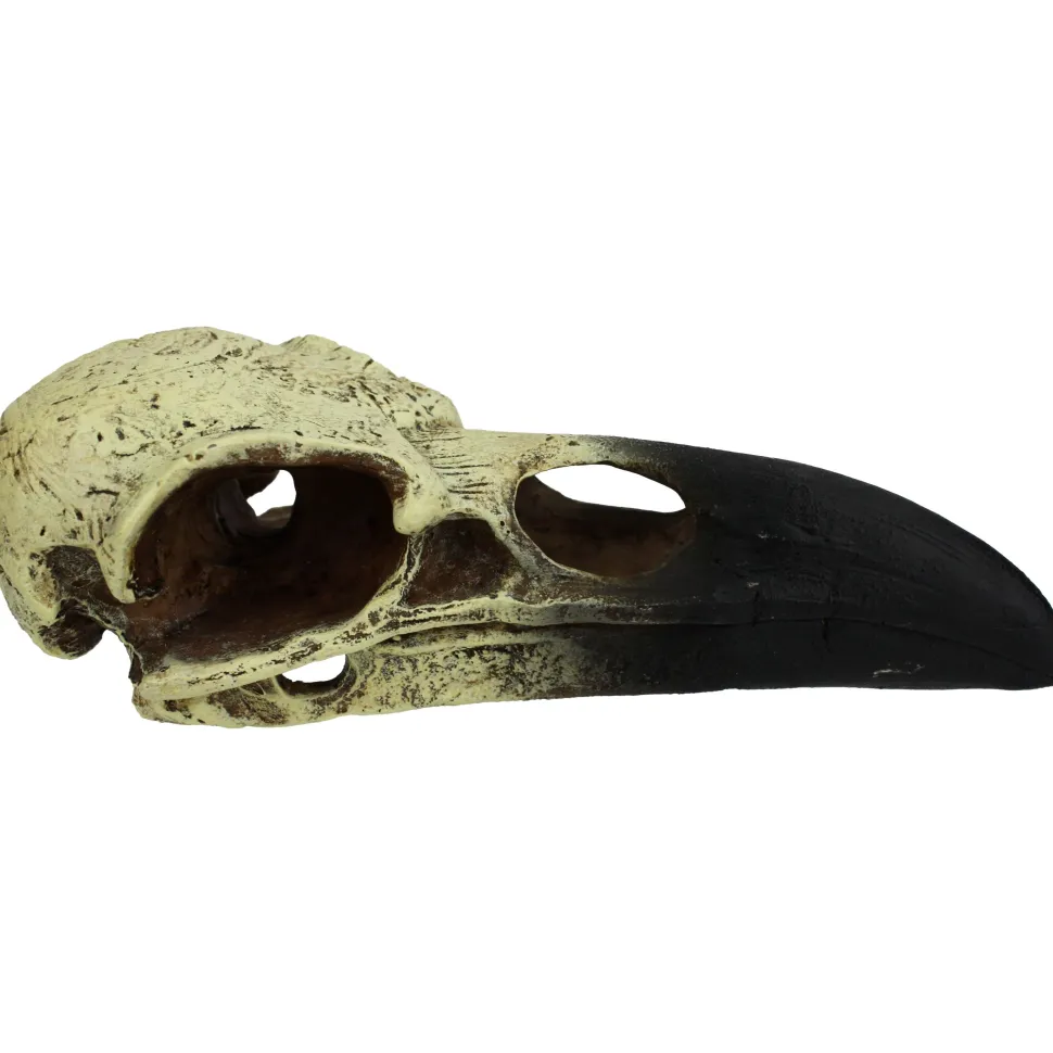 Komodo Raven Skull Hideout - 18 in - Large