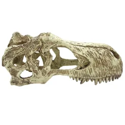 Komodo T-Rex Skull Reptile Hideout - Tan - Extra Large