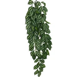 Komodo Two-Toned Leaf Hanging Plant - Large - 26 in
