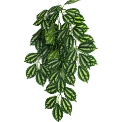 Komodo Two-Toned Leaf Hanging Plant - Small - 16 in