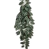 Komodo Zebrina Hanging Plant - Large - 26 in