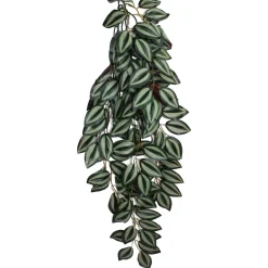 Komodo Zebrina Hanging Plant - Large - 26 in