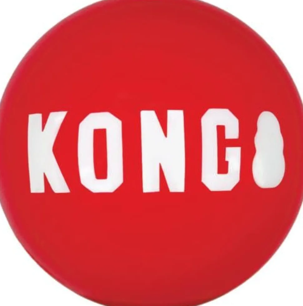 Kong Signature Ball Fetch Dog Toy - Small