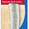Kong Wild Antler Split Natural Dog Chews - Small