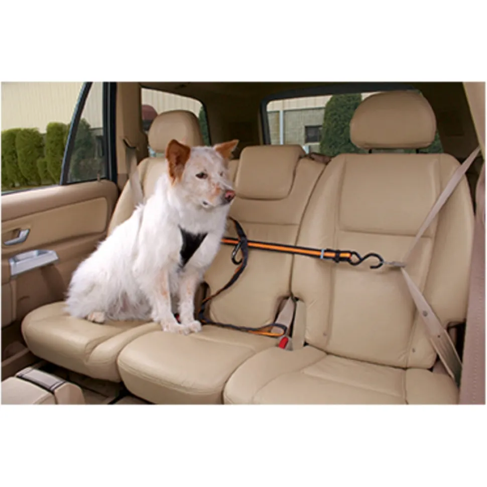 Kurgo Auto Zip Line Car Safety Leash for Dogs - Black - 6 Feet