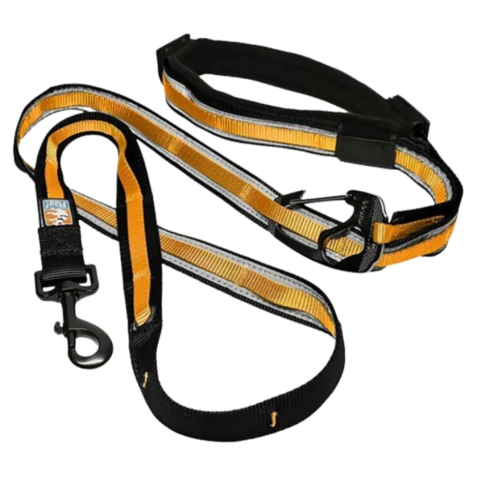 Kurgo Quantum 6-in-1 Padded Reflective and Hands-Free Waist Dog Leash