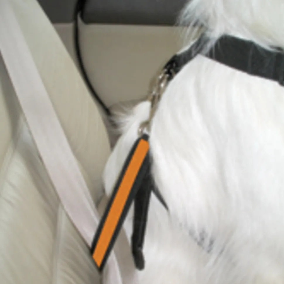 Kurgo Seat Belt Tether Car Seat Securer with Carabiner clip