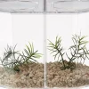 Lee's Hexagon Betta Keeper - Large