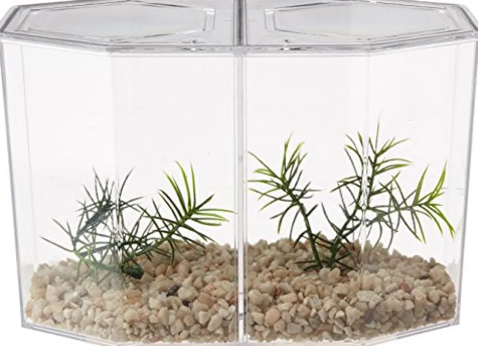 Lee's Hexagon Betta Keeper - Large