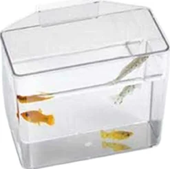 Lee's Specimen Container/Convalescent Home - Heavy Duty - Small