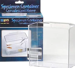 Lee's Specimen Container/Convalescent Home - Large