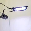 Lifegard Aquatics Full Spectrum LED Light - 6.5 W - 5"
