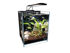 Lifegard Aquatics Low Iron Ultra Clear Aquarium - 5 gal - 9.84" x 9.84"