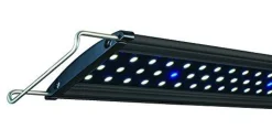 Lifegard Aquatics Ultra-Slim Full Spectrum LED Light - 60"