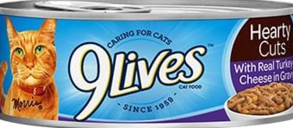 9Lives Hearty Cuts Turkey and Cheese in Gravy Canned Cat Food - 5.5 Oz - Case of 4 - 6 Pack