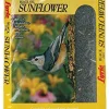 Lyric Black Oil Sunflower Sunflower Oil Wild Bird Food - 10 Lbs - 4 Pack