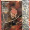 Lyric Supreme Wild Bird Food Seed Mix - 20 Lbs