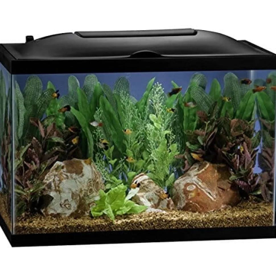 Marineland Bio-Wheel LED Aquarium Kit Aquatics Starter Kits - 20 Gal - 24 X 12 X 16