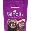 Marshall Bandits Premium Ferret Treat - Raisin Flavor - 3 oz
