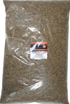 Mealworm To Go Dried Mealworms Value Wild Bird Food - 11.02 Lbs