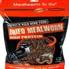 Mealworm To Go Dried Mealworms Wild Bird Food - 1.1 Lb