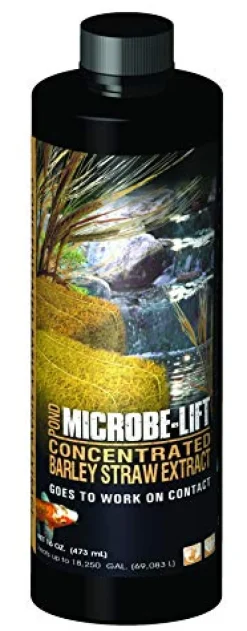 Microbe-Lift Concentrated Barley Straw Extract - 16 oz