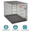Midwest Lifestages Metal Folding Single Door Dog Crate with Divider - 42" X 28" X 31" Inches