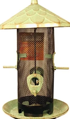 More Birds Acorn Screen Sunflower Wild Bird Feeder - Green - 2.8 Lbs Cap