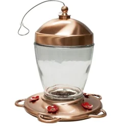 More Birds Jubilee Glass Vintage Hummingbird Feeder - Copper - 32 Oz Cap