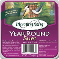Morning Song Year-Round Suet Cakes Wild Bird Food - 11.75 Oz - 12 Pack