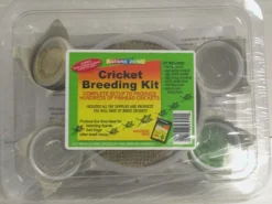 Nature Zone Cricket Breeding Kit