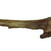 Nature's Own USA Smoked Meaty Lamb Trotter Natural Dog Chews - Lamb - 9 In - 25 Pack