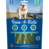 N-Bone Bone-A-Mints Dog Dental Chews - Large - 4 Pack - 8.92 Oz