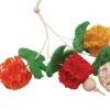 Nibbles Loofah Bunch of Fruits Chew Small Animal Chewy Treats - Small