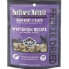 Northwest Naturals Freeze Dried Whitefish Cat Recipe Freeze-Dried Cat Treats - 4 oz Bag