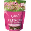 Nutrisource Crunchy Salmon and Tuna Crunchy Cat Treats - 3 Oz
