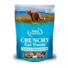 Nutrisource Crunchy Turkey and Chicken Crunchy Cat Treats - 3 Oz