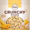 Nutro Banana Crunchy Biscuit Dog Treats - 16 oz - Case of 12