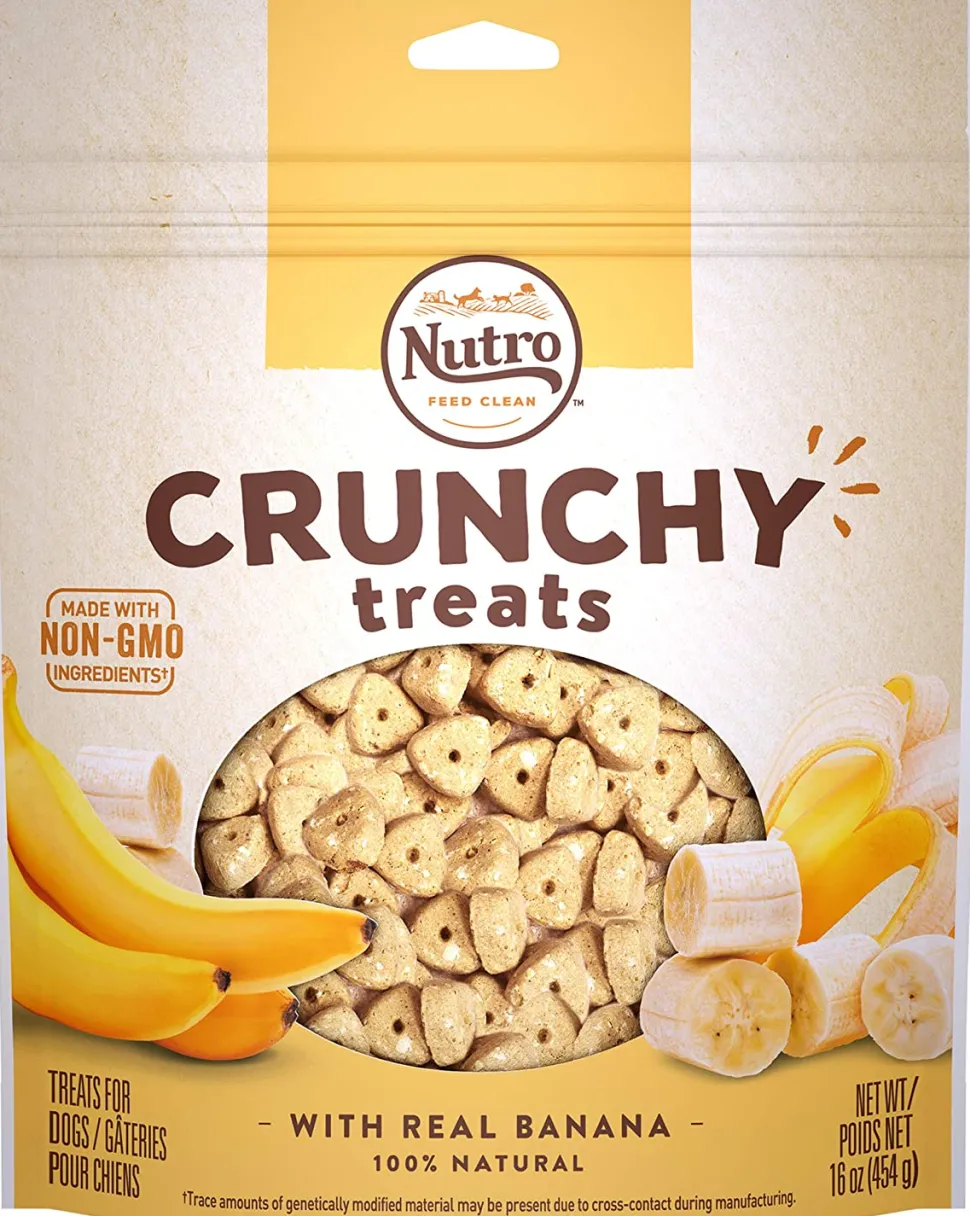 Nutro Banana Crunchy Biscuit Dog Treats - 16 oz - Case of 12