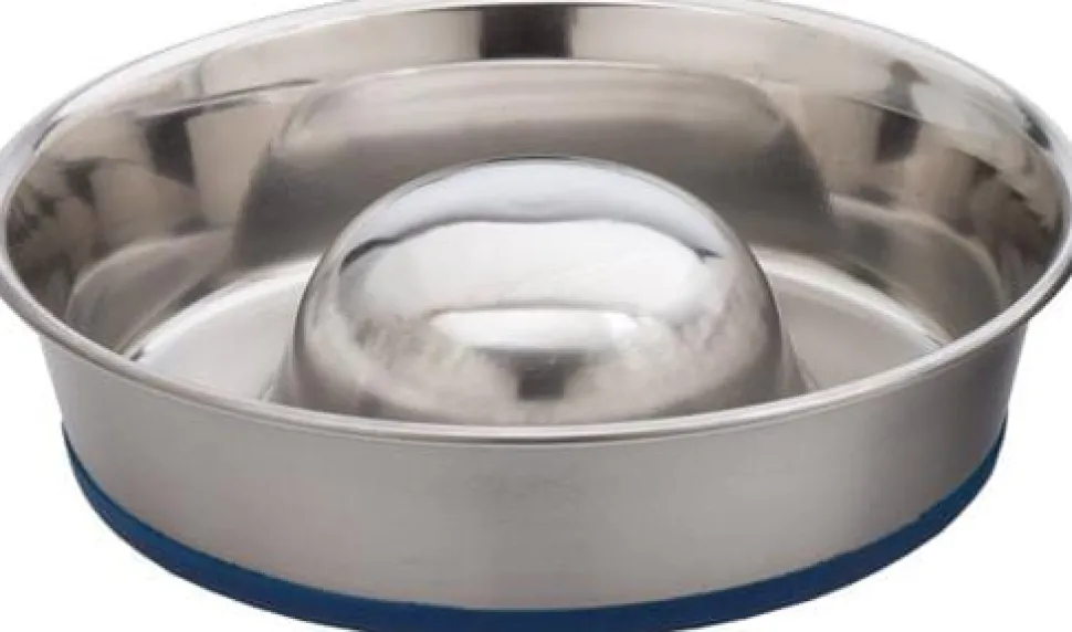 OurPets Durapet Anti-Skid Rubber Bonded Stainless Steel Slow Feeding Cat Bowl - Large - 56 Oz