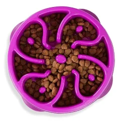 Outward Hound Anti-Skid Fun Feeder Slow Feeding Dog Bowl - Purple Flower - Medium