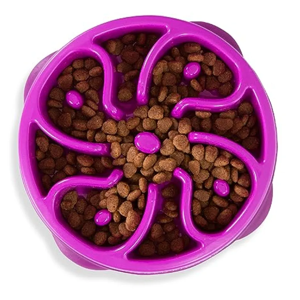 Outward Hound Anti-Skid Fun Feeder Slow Feeding Dog Bowl - Purple Flower - Medium