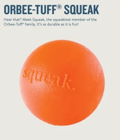 Outward Hound Planet Dog Orbee Tuff Squeak and Fetch Ball Dog Toy - Orange