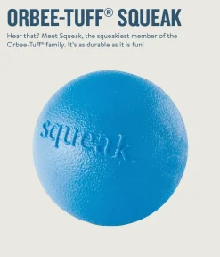 Outward Hound Planet Dog Orbee Tuff Squeak and Fetch Ball Dog Toy - Blue
