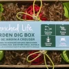 Oxbow Enriched Life Garden Dig Box Small Animal Toy
