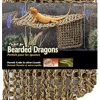 Penn Plax Natural Lizard Lounger - Corner - Large