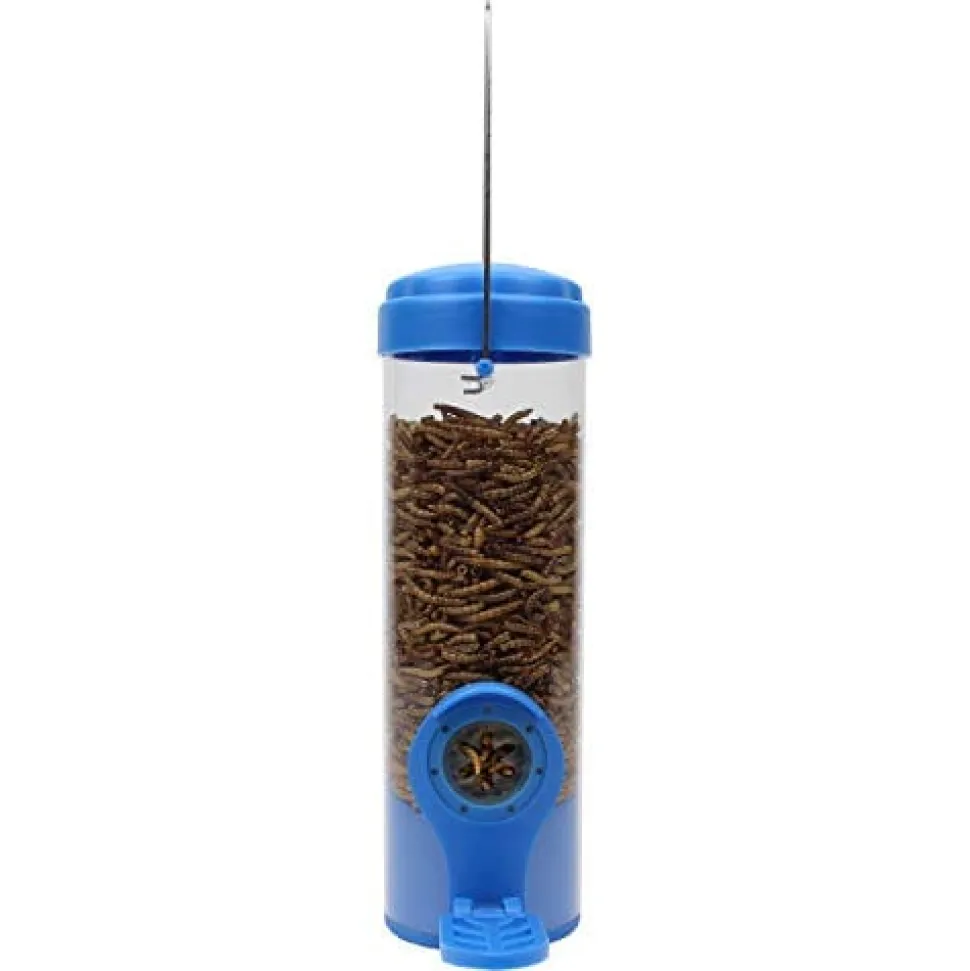Perky-Pet Dried Mealworm Wild Bird Tubed Wild Bird Feeder - Blue - 3.5 Oz Cap