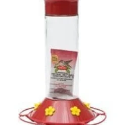 Perky-Pet Glass Hummingbird Feeder - Red - 30 Oz Cap